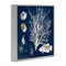 Stupell Industries Coral Medley on Navy Framed Giclee, design by Lanie Loreth